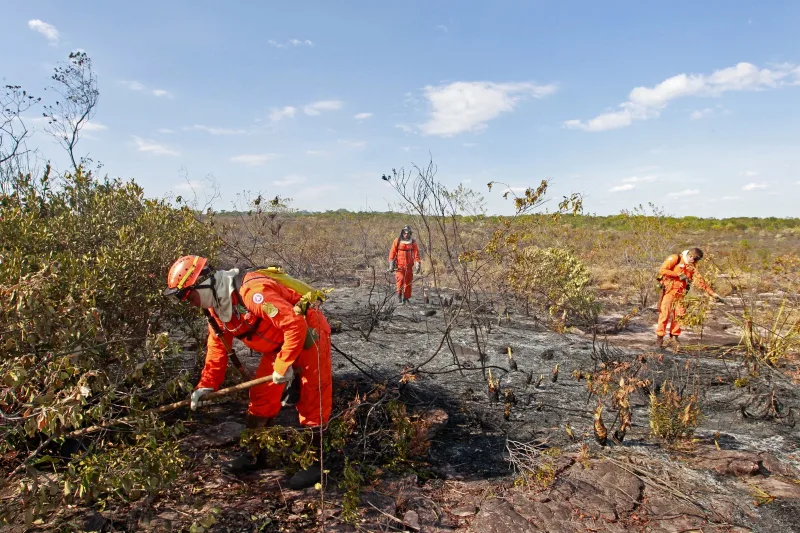 Bombeiros completam 100 dias de operação contra incêndios florestais com redução de 29% nos focos de calor Bombeiros completam 100 dias de operação contra incêndios florestais com redução de 29% nos focos de calor