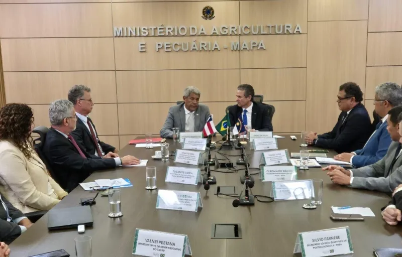 Governo da Bahia e Ceplac firmam acordo para monitorar lavouras de cacau