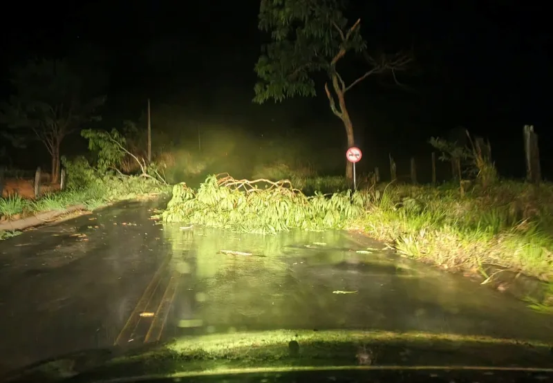 Temporal provoca destruição em Vereda e região deve continuar em alerta para fortes chuvas neste domingo