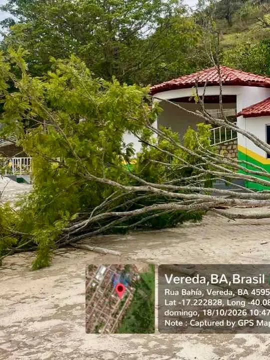 Após forte tempestade, Vereda decreta situação de emergência e mobiliza força-tarefa de reconstrução e assistência social Após forte tempestade, Vereda decreta situação de emergência e mobiliza força-tarefa de reconstrução e assistência social