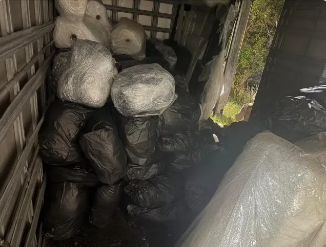 Homem é preso com cerca de uma tonelada de maconha em caminhão na Bahia Homem é preso com cerca de uma tonelada de maconha em caminhão na Bahia
