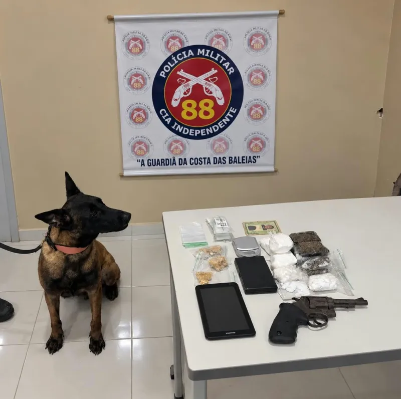 Cão policial Hera estreia em operação e ajuda a PM a apreender drogas e revólver em Caravelas