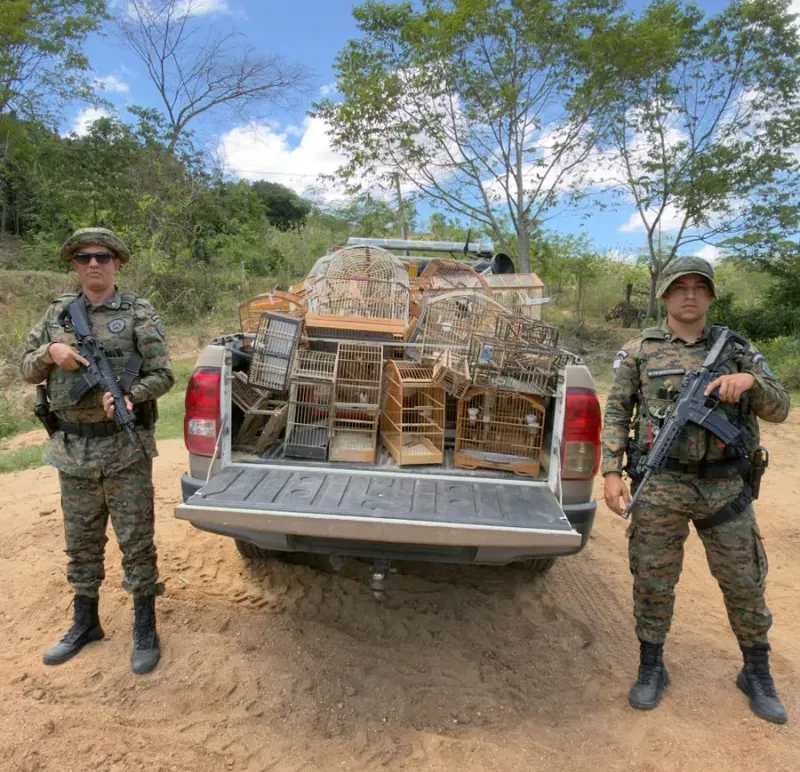Moradores de Jucuruçu entregam voluntariamente 37 aves silvestres e animais são devolvidos à natureza