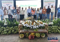 "Conexões do Campo à Mesa": Sebrae promove Dia de Campo que integra produtores e empresas
