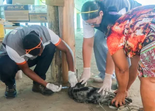 Ação de vacinação antirrábica atende cães e gatos em comunidades de Alcobaça