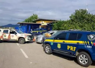 Ação integrada: PRF e CIPE-CENTRAL apreendem quase 30 Kg de maconha e prendem 4 traficantes