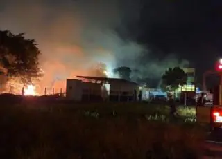 Ação rápida de bombeiros impede que incêndio atinja residências em Teixeira de Freitas