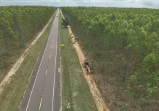 Aceiros ajudam a proteger florestas da propagação de incêndios na Bahia e no Espírito Santo