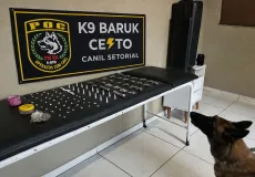 Ações da PM resultam em apreensão de entorpecentes e condução de suspeitos em Porto Seguro e Cabrália