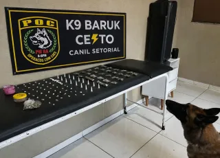 Ações da PM resultam em apreensão de entorpecentes e condução de suspeitos em Porto Seguro e Cabrália