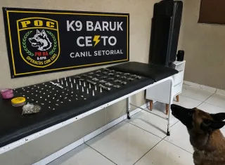 Ações da PM resultam em apreensão de entorpecentes e condução de suspeitos em Porto Seguro e Cabrália