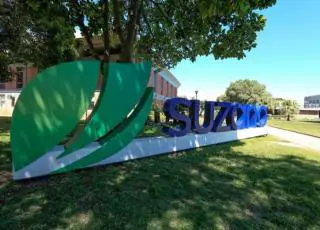 Ações de voluntariado da Suzano contemplam mais de 350 pessoas na Bahia