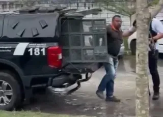 Acusado de matar homem após discussão em ônibus é preso em Porto Seguro