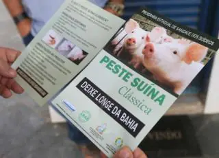 Adab realiza campanha de prevenção contra peste suína clássica