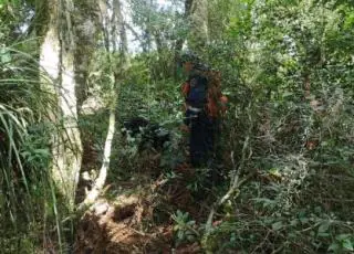 Adolescente de 14 anos é encontrada morta amarrada em árvore