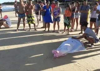 Adolescente de 15 anos morre e irmão de 11  desaparece no mar de Caraiva