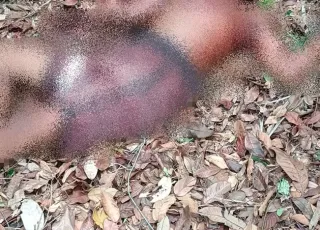 Adolescente indígena de 17 anos é encontrado morto a facadas na Aldeia Gurita em Prado