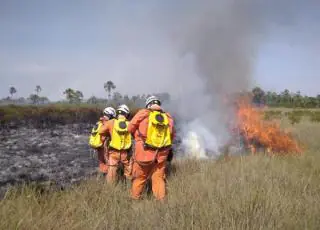 Aeronaves do Governo do Estado reforçam combate aos incêndios florestais na Bahia