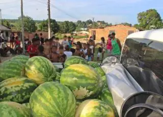 Agricultor doa 1.1/5 tonelada de melancia para instituições e famílias de baixa renda de Itamaraju