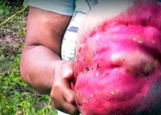 Agricultora colhe batata gigante de quase 10 kg no quintal de casa, em Itagimirim