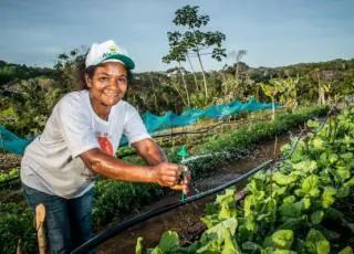 Agricultores familiares já podem aderir ao Garantia-Safra 2021/2022