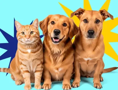 Alcobaça Inicia Campanha Itinerante de Vacinação para Cães e Gatos