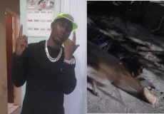Alex é executado a tiros dentro casa n cidade do Prado