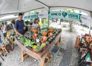 “Ame o Verde” desperta conscientização e preservação ambiental até o próximo sábado (7)