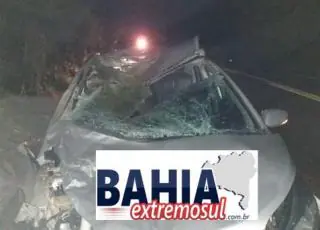 BR 101 - Animal solto na pista provoca acidente próximo a Parada do Pedrão