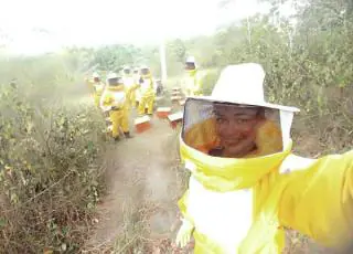 Apicultura ajuda a manter famílias no campo e a preservar o meio ambiente