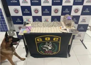 Após denuncia, cão policial do 8° BPM localiza drogas, em Porto Seguro