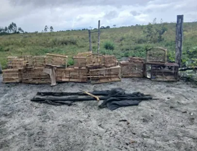 Após denúncia, PM encontra aves presas em pequenas gaiolas e realiza soltura