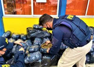 Após fuga e condutor quebrar cancela de pedágio, PRF apreende quase 300 Kg de maconha