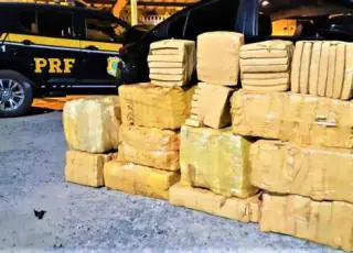 Após fuga, PRF apreende quase 300 Kg de maconha na BR 116