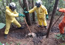 Após meses de buscas, polícia encontra ossada que pode ser de casal sequestrado em Nova Viçosa