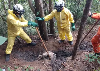 Após meses de buscas, polícia encontra ossada que pode ser de casal sequestrado em Nova Viçosa