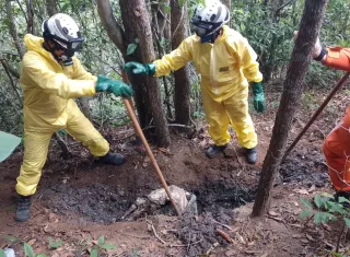 Após meses de buscas, polícia encontra ossada que pode ser de casal sequestrado em Nova Viçosa