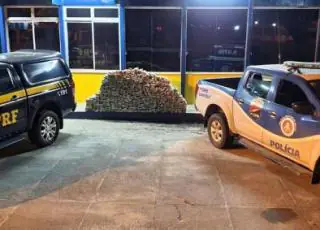 Após tentativa de fuga, PRF prende traficante e apreende mais de meia tonelada de maconha em Eunápolis
