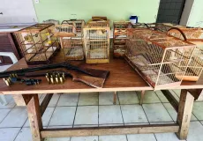 Apreensão de animais silvestres e armas em operação da CIPPA/PS em Ilhéus