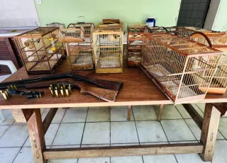 Apreensão de animais silvestres e armas em operação da CIPPA/PS em Ilhéus