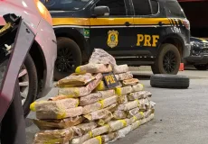 Apreensão recorde: PRF retira 50 kg de maconha de circulação em rodovia na Bahia