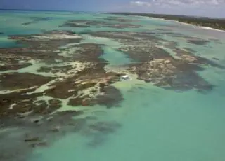 Aquecimento dos oceanos pode mudar recifes de corais, mostra estudo