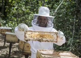 Associação apoiada pela Suzano registra recorde de produção de mel na Bahia