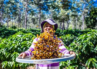 Bahia bate recorde de inscrições no Programa de Aquisição de Alimentos (PAA)