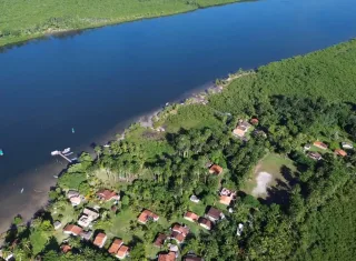 Bahia celebra o Dia Mundial do Meio Ambiente com avanços em sustentabilidade, conservação e geração de renda