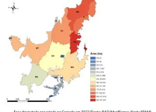 Bahia é o estado que mais desmatou o cerrado em 2022, aponta MapBiomas Alerta