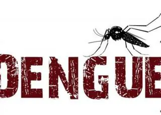 Bahia emite alerta sobre aumento de 94% dos casos de dengue em 2019