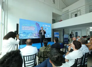 Bahia lança temporada 2026 de observação de baleias-jubarte com capacitação para profissionais do turismo