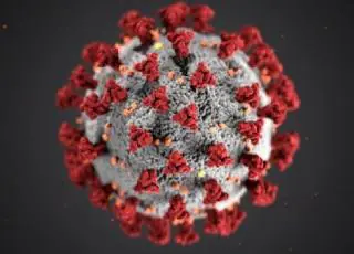 Bahia registra 2.184 casos de H3N2, com 100 óbitos, e 23 de Flurona