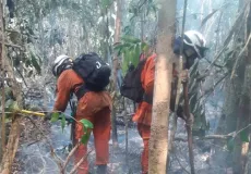 Base Florestal Sul conta com mais 50 bombeiros militares e 10 viaturas no apoio ao combate aos incêndios. Focos de incêndio que atingem Prado, Itamarajú e Mucurí.